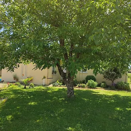 3 Bedroom House With Above-ground Pool Casa vacanze Prigonrieux
